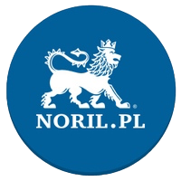 Agencja SEO Noril